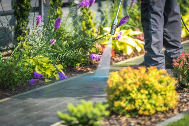 Best Dumpster Area Cleaning  in Gresham Park, GA